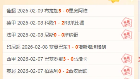 张之臻马赛站因伤退赛，单打八强止步